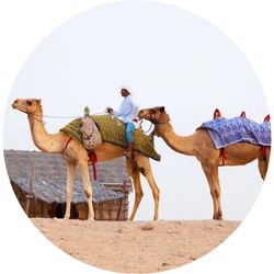 Sivatagi tevegelés – keleti kultúra élményei gyerekkorból, nyitottság és inspiráció Dubajhoz