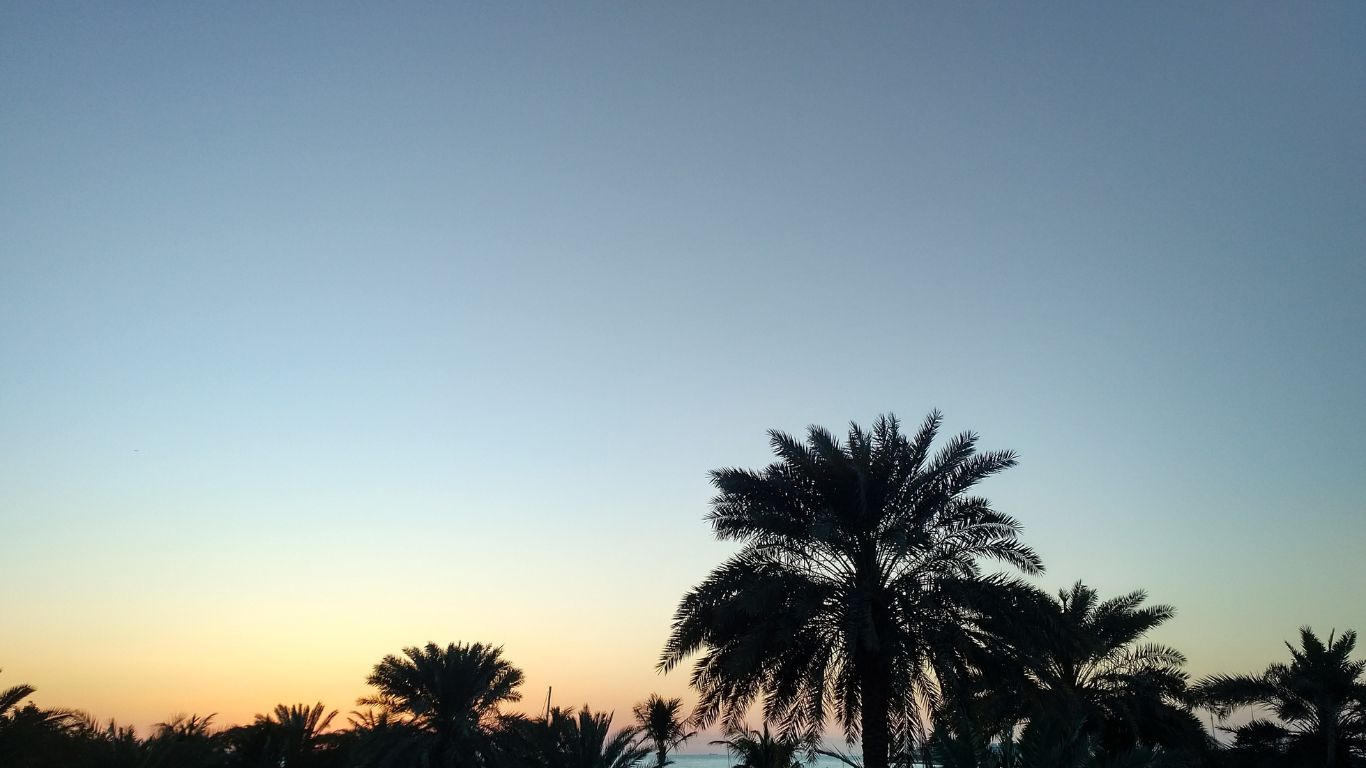 Kapcsolatfelvétel Dubajban – nyugodt, pálmafás környezetben indíthatod el saját vállalkozásod